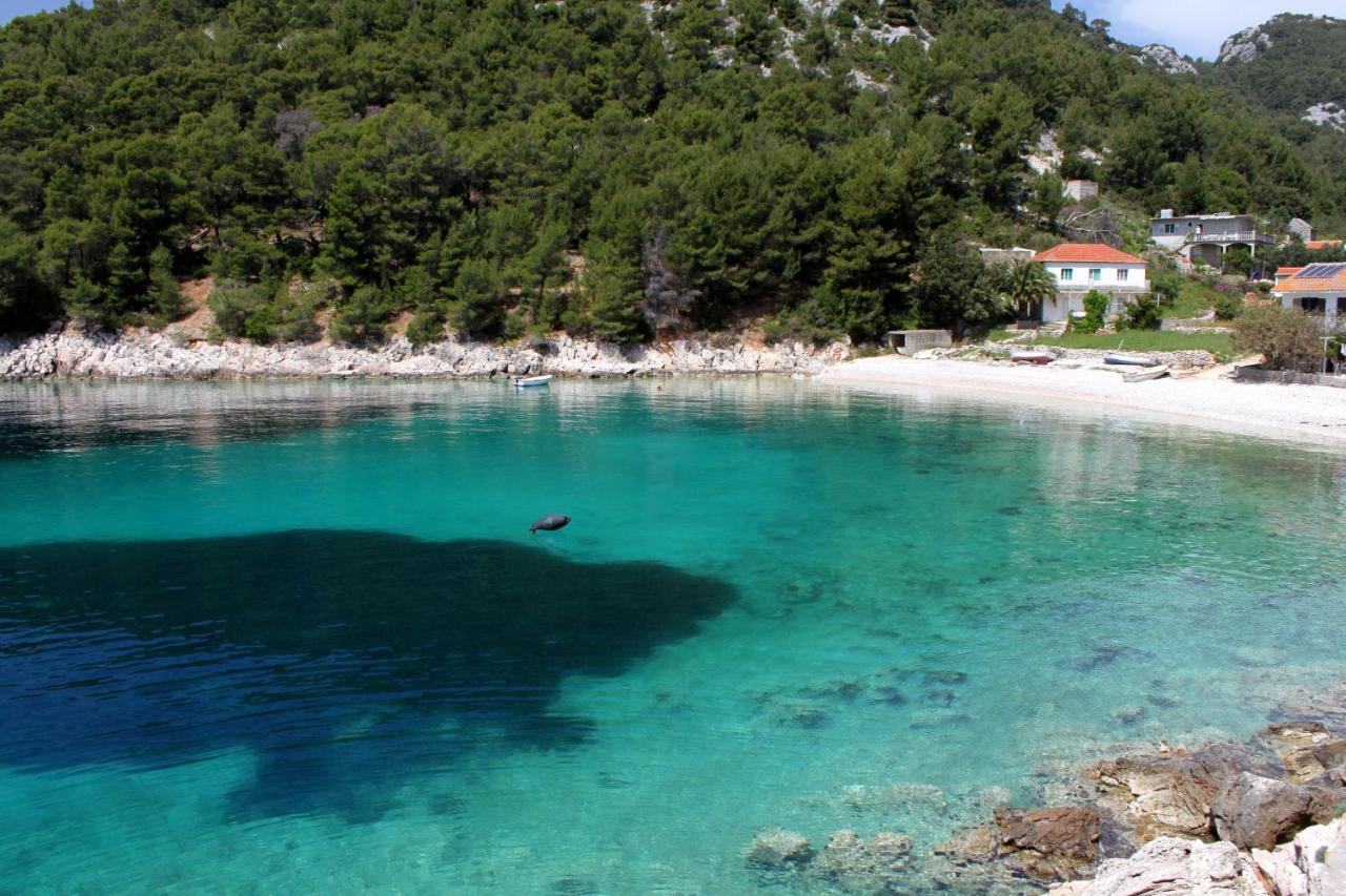 Seaside Secluded Apartments Cove Skozanje, Hvar - 5713 Gdinj Eksteriør bilde