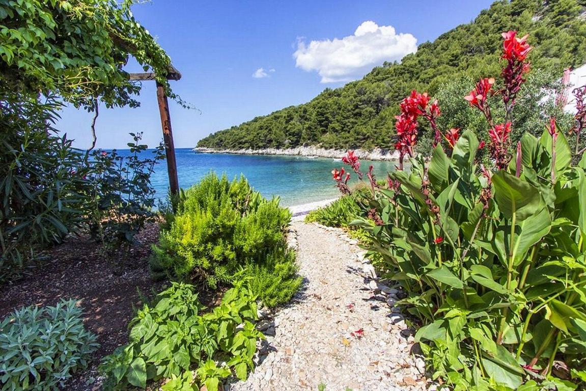 Seaside Secluded Apartments Cove Skozanje, Hvar - 5713 Gdinj Eksteriør bilde
